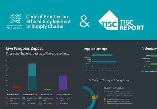 FOI welsh governement and TISCreport