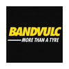 BV ENVIRONMENTAL LIMITED Logo